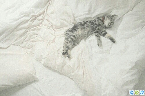 成長(zhǎng)青春治愈系句子帶圖片 很暖心的治愈系說說簡(jiǎn)短一句話4