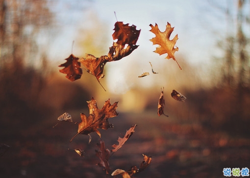 男生被分手的說(shuō)說(shuō)心情短語(yǔ) 一瞬間心如刀絞的傷感句子1