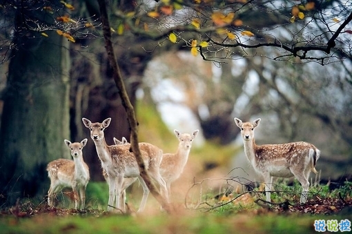 早安周末寫(xiě)給周末上午的勵(lì)志經(jīng)典說(shuō)說(shuō)配圖 很勵(lì)志經(jīng)典的早安心語(yǔ)語(yǔ)錄20189