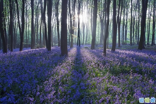 心情郁悶的傷感說說帶圖片 夜里睡不著覺的傷感心情說說配圖2