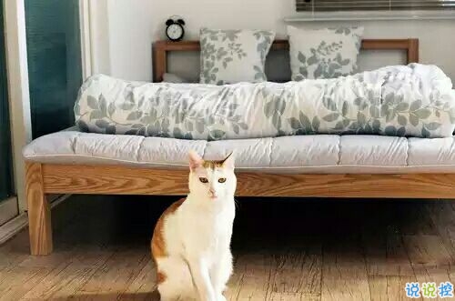 戀愛(ài)中的甜蜜溫暖小情緒說(shuō)說(shuō)帶圖片 跨越大半個(gè)地球與你相見(jiàn)12