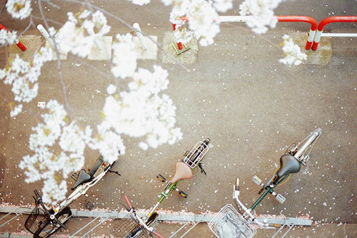 2018最新微信感恩節(jié)說說帶圖片大全 感恩節(jié)心情說說簡單好聽的3