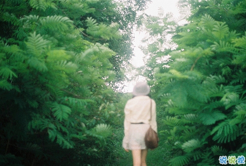 早安周末寫(xiě)給周末上午的勵(lì)志經(jīng)典說(shuō)說(shuō)配圖 很勵(lì)志經(jīng)典的早安心語(yǔ)語(yǔ)錄201813