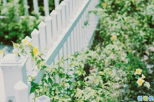 適合孤獨(dú)時(shí)候發(fā)的治愈心情說說帶圖片 孤獨(dú)沒有形狀卻是無數(shù)個(gè)你白日的模樣13