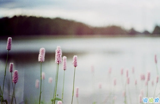 晚安說(shuō)說(shuō)勵(lì)志好心情一句大全帶圖片 簡(jiǎn)單一句晚安心語(yǔ)勵(lì)志配圖14