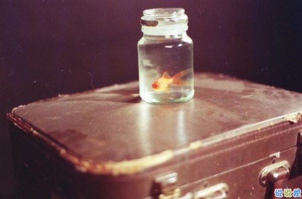 文字控喜歡的簡單唯美的一句話說說帶圖片 煙塵滾滾一路行來我應(yīng)是迷了路了4