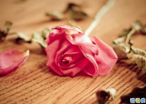 15條愛(ài)情說(shuō)說(shuō)我的心里話 愛(ài)情中最真實(shí)的感受說(shuō)說(shuō)配圖12