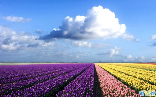 朋友圈個(gè)性說說簡(jiǎn)單一句話 趁著年輕把能干的壞事干了吧2