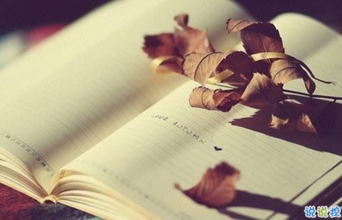 2019關(guān)于春分的微信說說帶圖片 春分節(jié)氣早安祝福語6