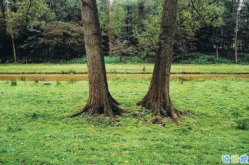 唯美英文勵志正能量感悟人生的句子和圖片9