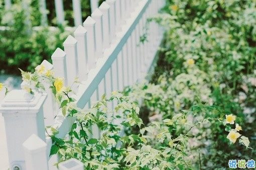 2018失落傷感后的圖片說(shuō)說(shuō) 帶有治愈系的傷感說(shuō)說(shuō)配圖12