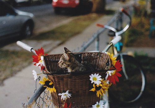 浪漫甜蜜的句子帶圖片 我雖是不完美的平凡人可卻如此愛(ài)你6