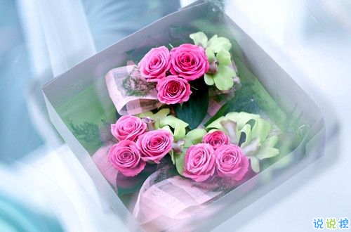 2019關(guān)于春分的微信說說帶圖片 春分節(jié)氣早安祝福語9