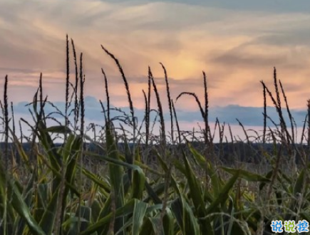 感到心痛的傷感愛情說說配圖 痛到心在滴血的說說帶圖片9