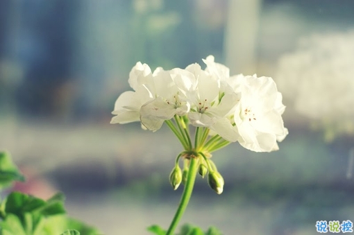 2019二月再見(jiàn)三月你好說(shuō)說(shuō)經(jīng)典勵(lì)志 三月你好微信早安句子1