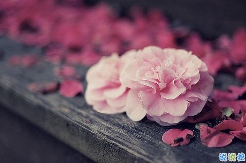 2019適合跨年夜的表白說說 一句話感動對方的完美情話10