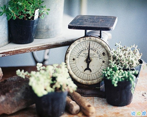 關(guān)于愛情的唯美簡單一句話經(jīng)典說說帶圖 我生在南方活在南方卻栽在你手里14