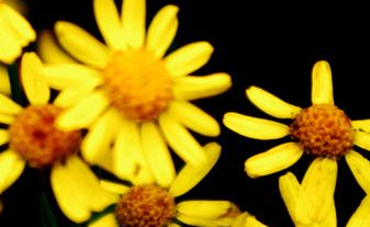 在夢(mèng)里也會(huì)潸然淚下的說(shuō)說(shuō)帶圖 如果時(shí)光倒流峩捫能抓得住什么2