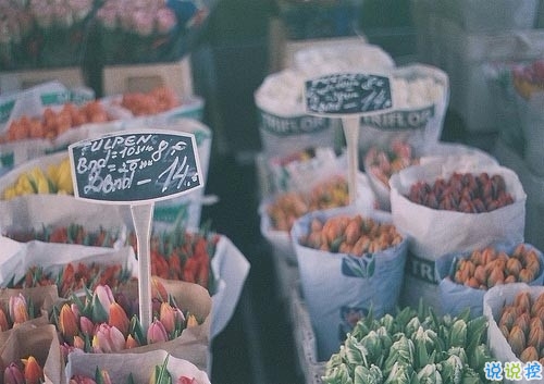 朋友圈早安勵(lì)志句子長(zhǎng)一點(diǎn)的 美好的一天勵(lì)志句子新的開(kāi)始1