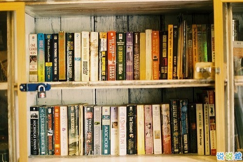 文字控偏愛的簡單文藝圖片句子 往后余生風(fēng)雪是你平淡是你13