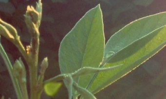 在夢(mèng)里也會(huì)潸然淚下的說(shuō)說(shuō)帶圖 如果時(shí)光倒流峩捫能抓得住什么13