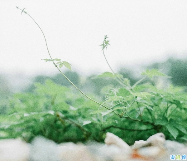 關于一個人旅行的精辟哲理說說帶圖片 每一次旅行其實都是一場修行1