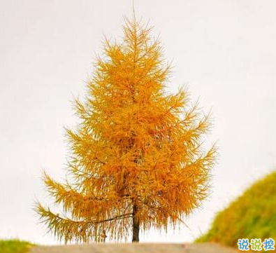 承蒙你出現，夠我喜歡好多年2