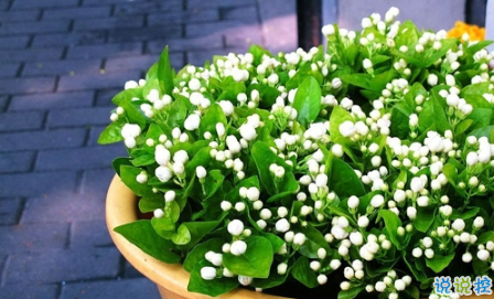 表示無(wú)聊的朋友圈說(shuō)說(shuō)帶圖片：無(wú)聊，是人生的一種正?，F(xiàn)象14