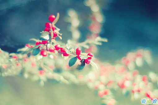 向女朋友求婚的話真實(shí)浪漫點(diǎn) 2019求婚句子大全簡(jiǎn)單帶圖片4