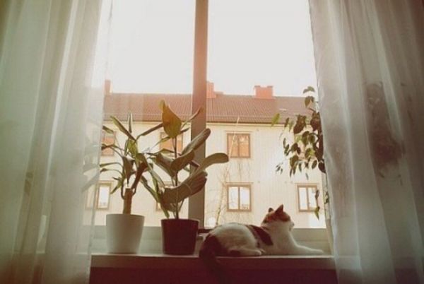 關(guān)于愛(ài)情的甜蜜小句子帶圖片 我忘記誰(shuí)都不能忘記那個(gè)夏天的你4