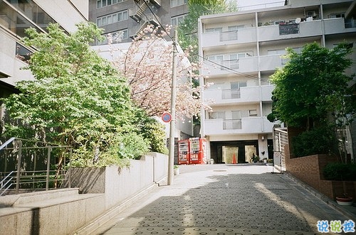 2019微信朋友圈勵(lì)志晚安心語(yǔ)帶圖片 早安晚安勿忘心安1