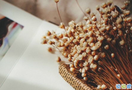 余生還是不要你指教了，我自己過吧6