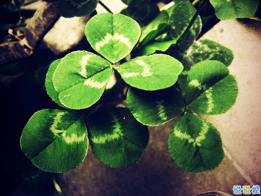 女生傷感說說帶圖片心情低落 越想越心痛的難過說說大全9