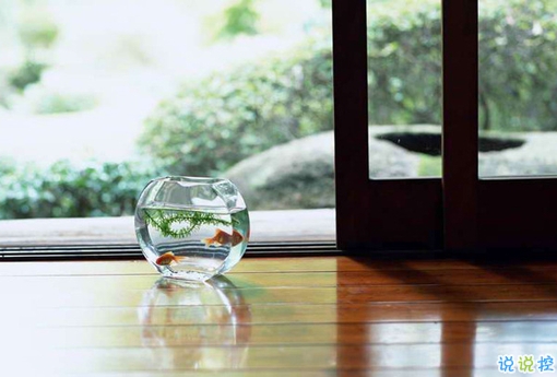 很真實(shí)的愛情感悟帶圖片 深有感觸的經(jīng)典愛情說(shuō)說(shuō)配圖12