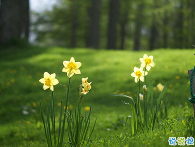 qq文藝傷感愛情說說帶圖片 這世界很大不刻意就不會再見了8