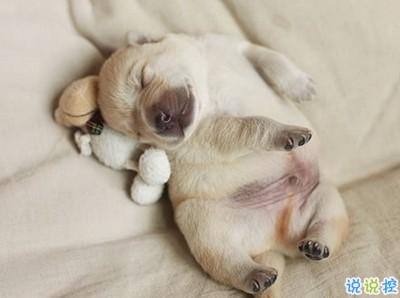 學(xué)生黨有趣圖片帶搞笑個(gè)性說(shuō)說(shuō) 你體驗(yàn)過(guò)暴瘦的滋味嗎9