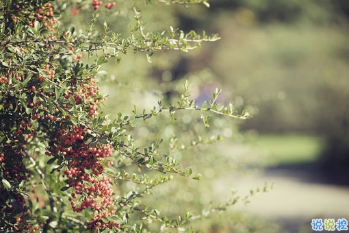 情感治愈系經(jīng)典語錄大全 能融化你心的簡短經(jīng)典說說1