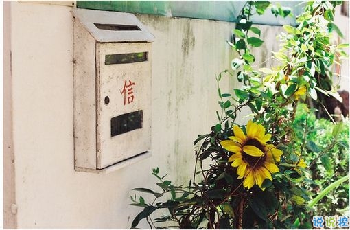 有點(diǎn)傷感的愛(ài)情說(shuō)說(shuō)帶圖片 失去一個(gè)人后是什么感覺(jué) 12