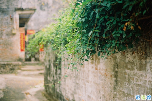 讓人聽了心酸淚目的一些話帶圖片 看完瞬間眼紅忍不住想哭7