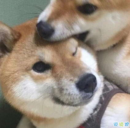 朋友圈情人節(jié)說說配圖2019 我喜歡這世界也喜歡你9