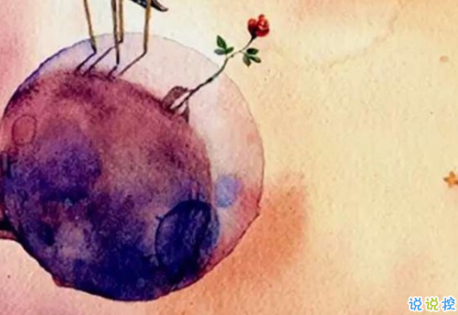 經(jīng)典小王子中的有哲理而又簡單的句子 如果你被一朵花馴養(yǎng)5