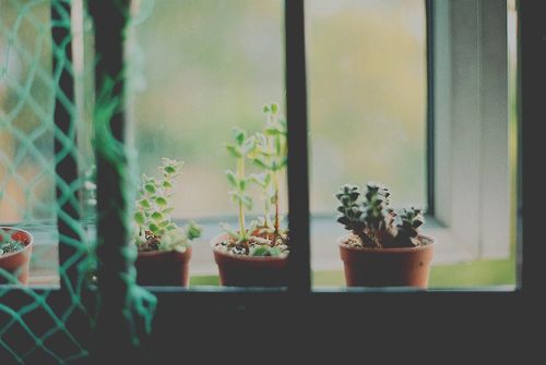 超勵(lì)志的正能量心靈雞湯說(shuō)說(shuō)帶圖片 與其擔(dān)心未來(lái)不如現(xiàn)在好好努力6