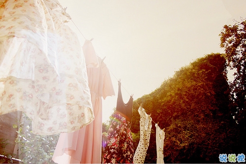 文字控偏愛的文藝小清新簡單的唯美句子帶圖片1