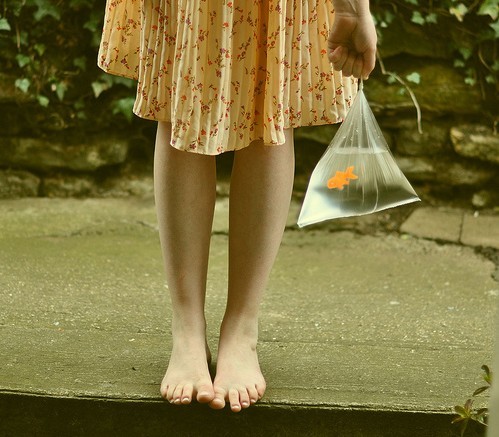 提到愛情有時會心痛心碎的傷感說說帶圖片11