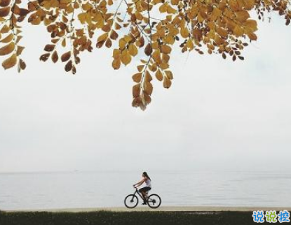 最新元旦個(gè)性說(shuō)說(shuō)2019要加油 拼搏道路上經(jīng)典的話語(yǔ)1