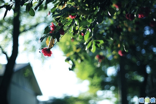 關(guān)于愛情很心酸的傷感說說 文藝范傷感愛情說說文字控喜歡的2