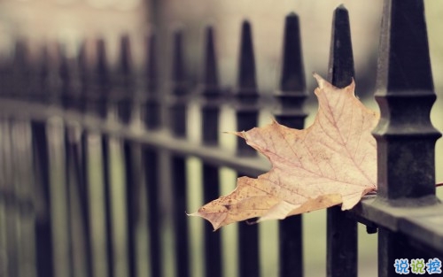 獨一無二微信個性說說帶圖片 路那么長少一些人也無妨12