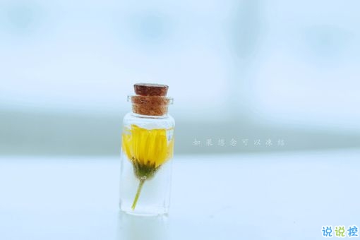 獨一無二朋友圈個性說說帶圖片 感謝相識不計消失回頭是狗1