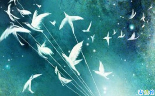 經(jīng)典小王子中的有哲理而又簡單的句子 如果你被一朵花馴養(yǎng)10