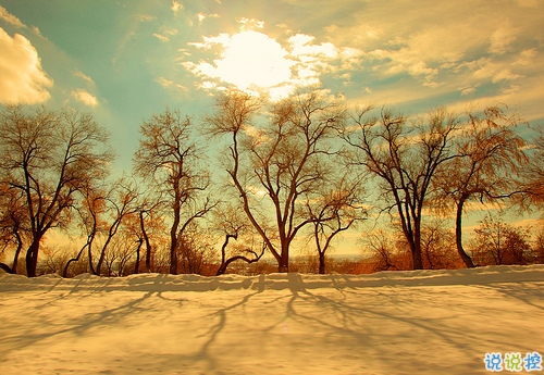 新的一年新的開始的哲理句子 充滿陽光的正能量句子大全1